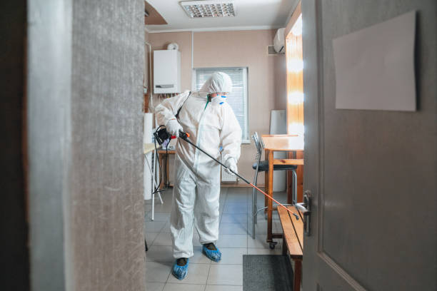 Best Real Estate Mold Inspection  in Pace, FL