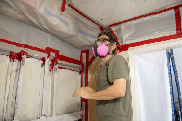 Best Mold Removal for HVAC Installations  in Pace, FL