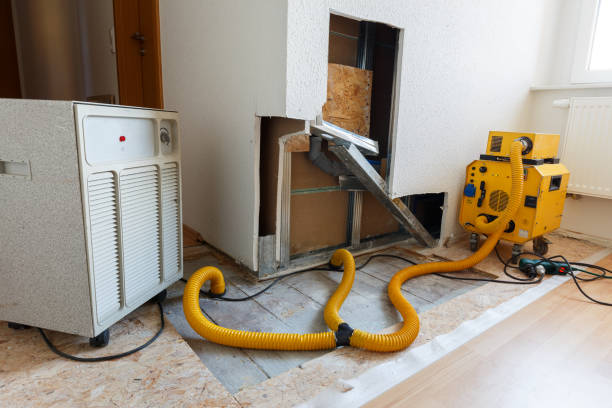 Environmental Consulting for Mold Prevention in Pace, FL