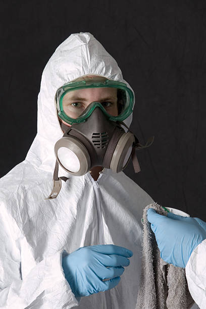 Best Mold Prevention Services  in Pace, FL